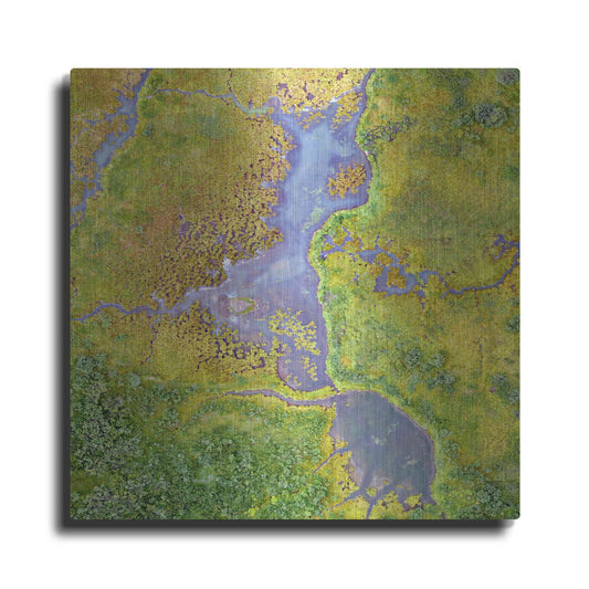 Luxe Metal Art 'Earth as Art: Watching Wetlands,' Metal Wall Art