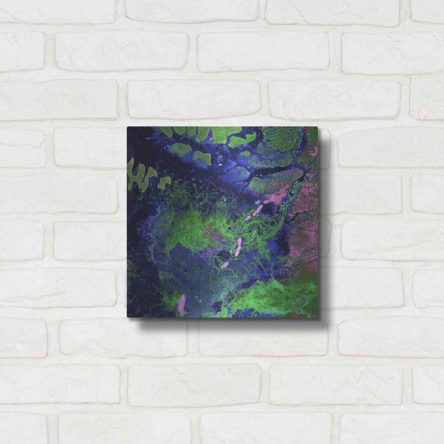 Luxe Metal Art 'Earth as Art: Wondrous Wetlands,' Metal Wall Art,12x12