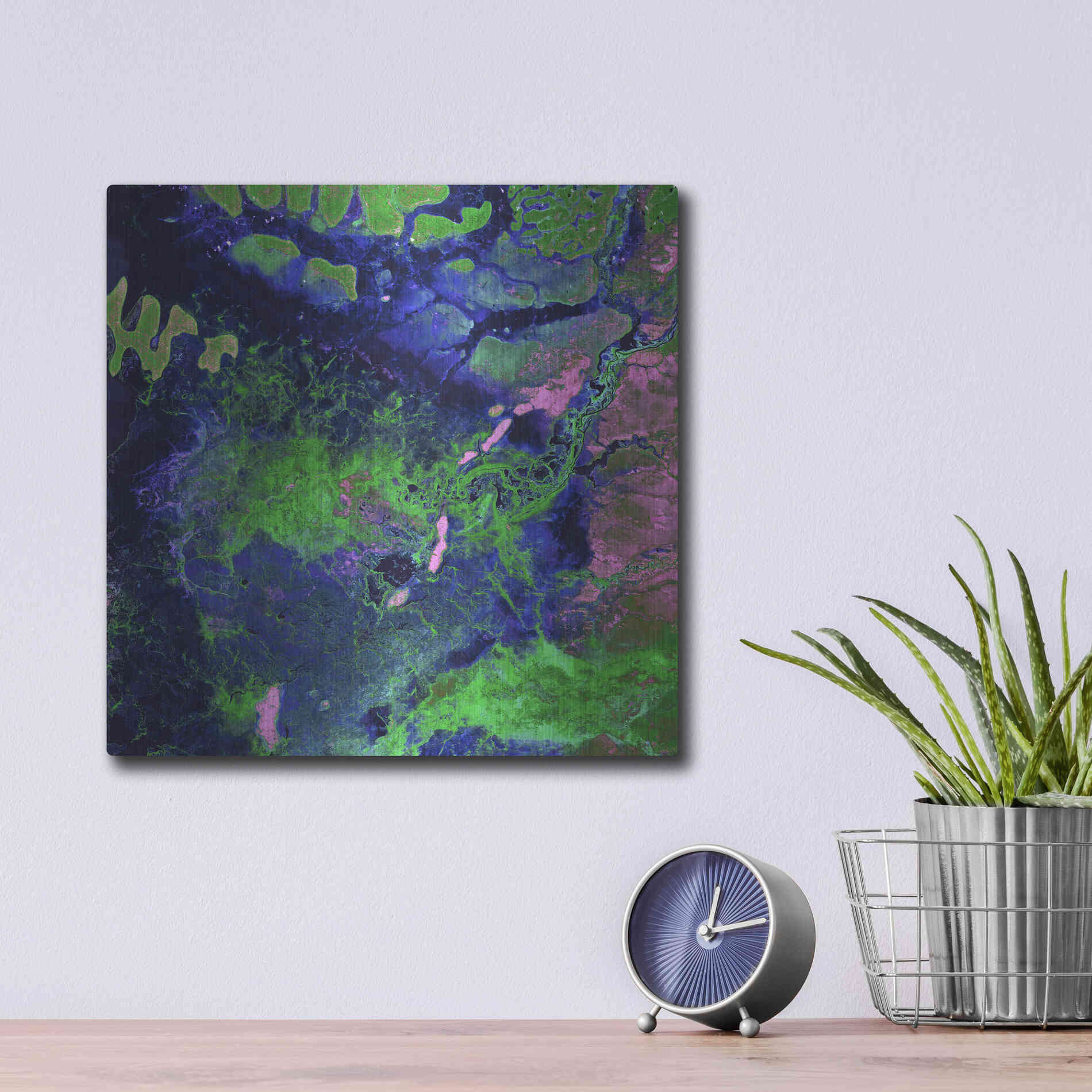 Luxe Metal Art 'Earth as Art: Wondrous Wetlands,' Metal Wall Art,12x12