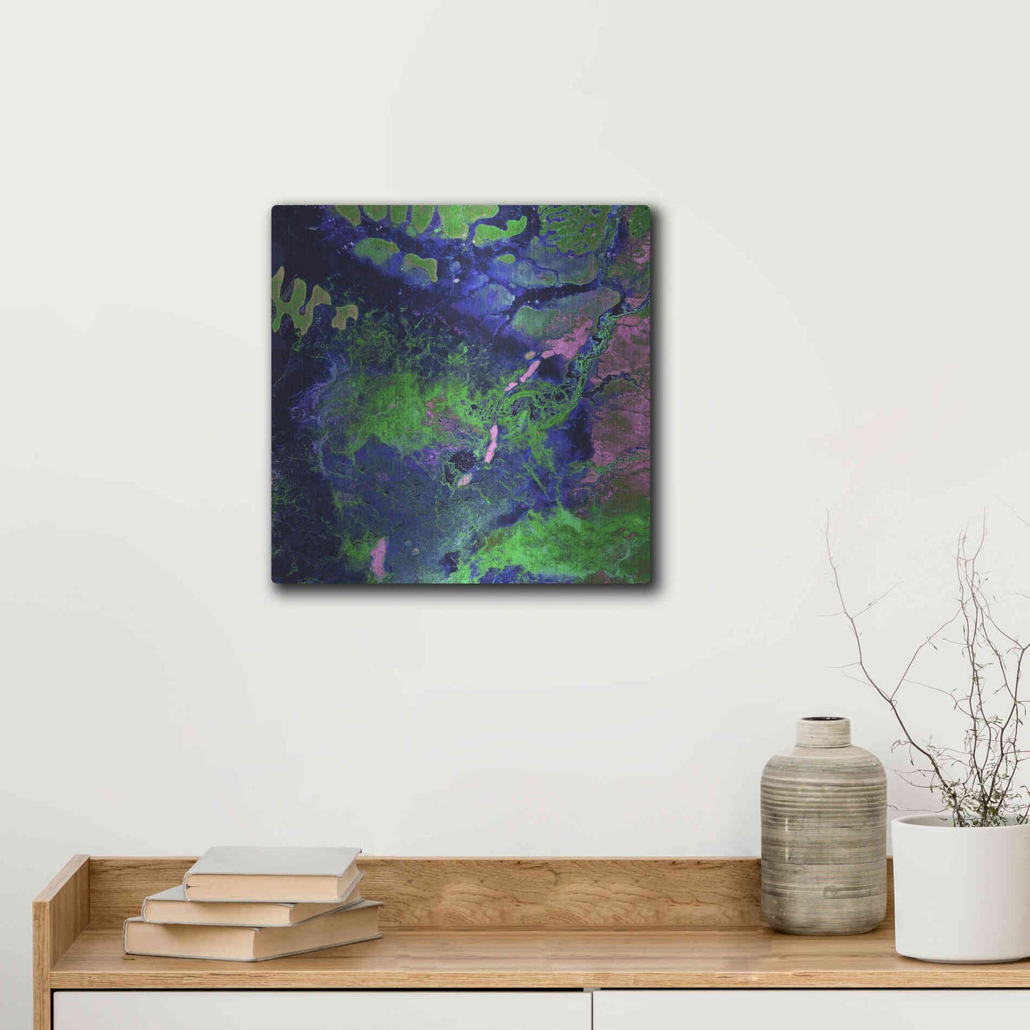 Luxe Metal Art 'Earth as Art: Wondrous Wetlands,' Metal Wall Art,12x12