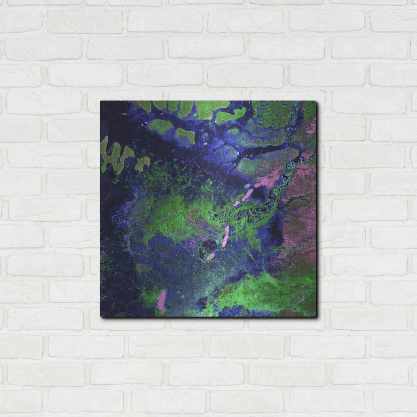 Luxe Metal Art 'Earth as Art: Wondrous Wetlands,' Metal Wall Art,24x24