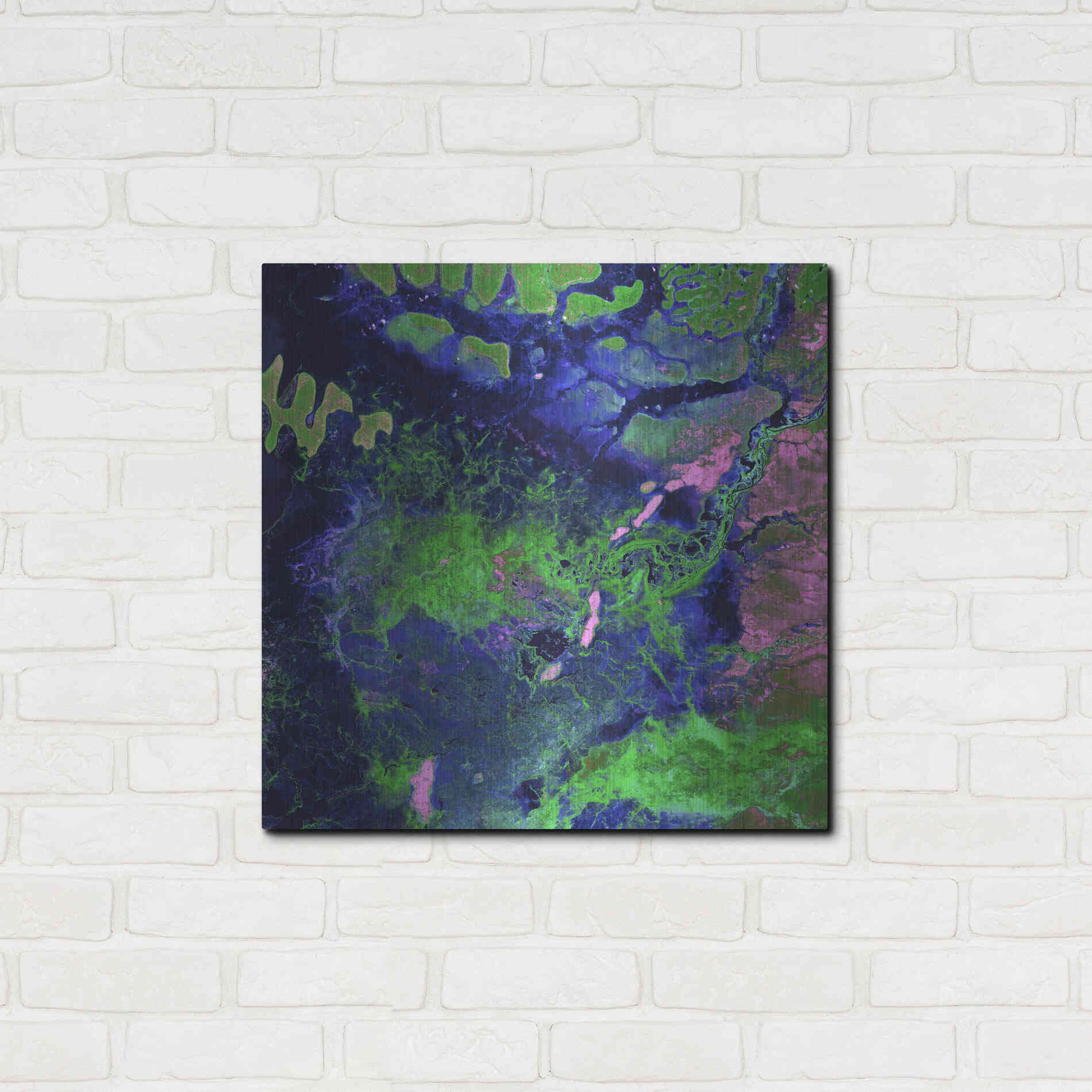 Luxe Metal Art 'Earth as Art: Wondrous Wetlands,' Metal Wall Art,24x24