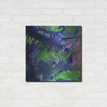 Luxe Metal Art 'Earth as Art: Wondrous Wetlands,' Metal Wall Art,24x24