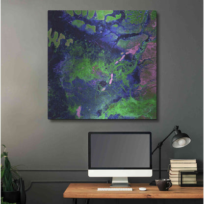 Luxe Metal Art 'Earth as Art: Wondrous Wetlands,' Metal Wall Art,36x36