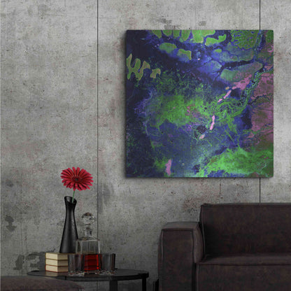 Luxe Metal Art 'Earth as Art: Wondrous Wetlands,' Metal Wall Art,36x36