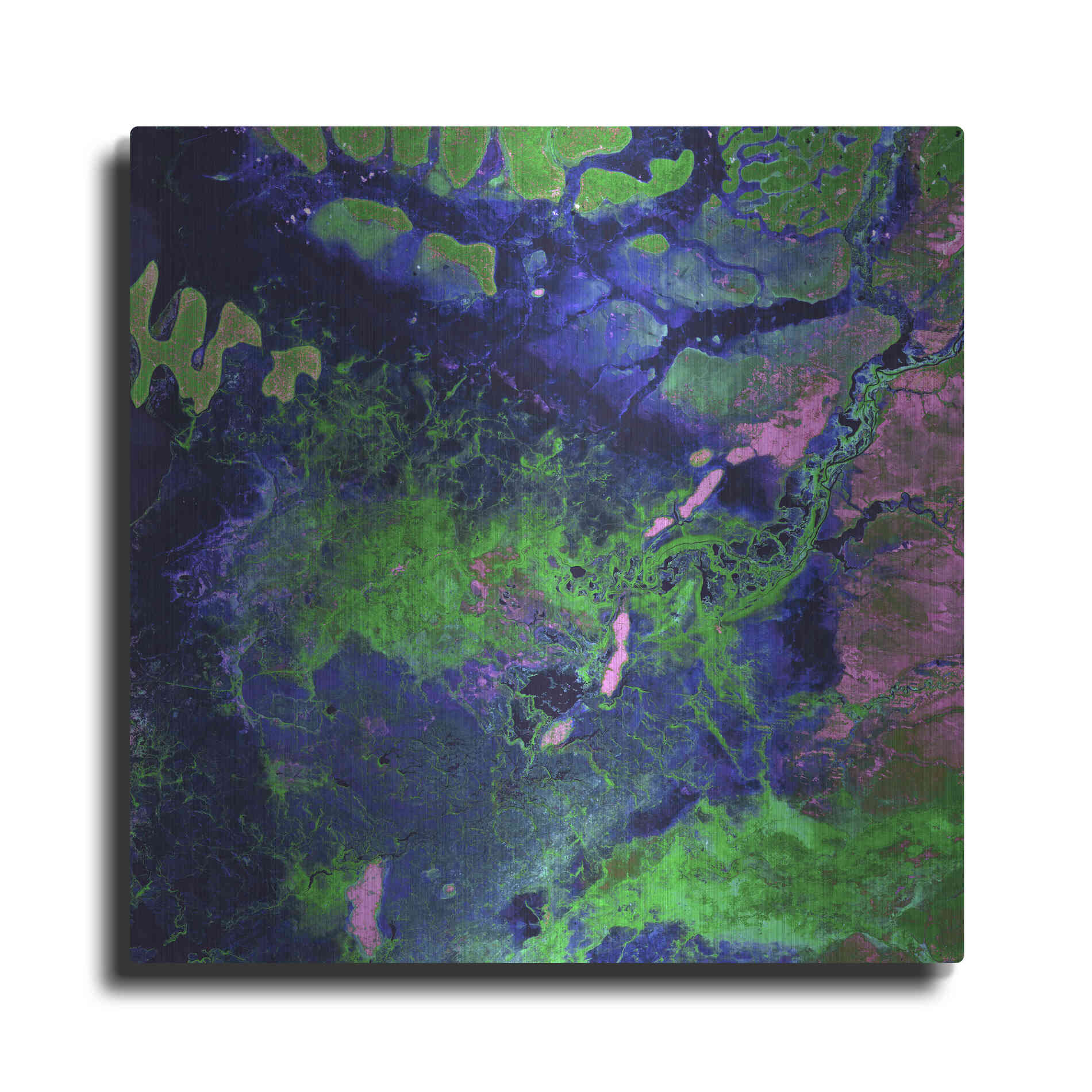 Luxe Metal Art 'Earth as Art: Wondrous Wetlands,' Metal Wall Art