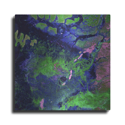 Luxe Metal Art 'Earth as Art: Wondrous Wetlands,' Metal Wall Art