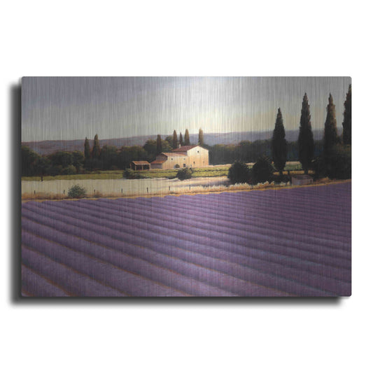 Luxe Metal Art 'Lavender Fields II' by James Wiens, Metal Wall Art