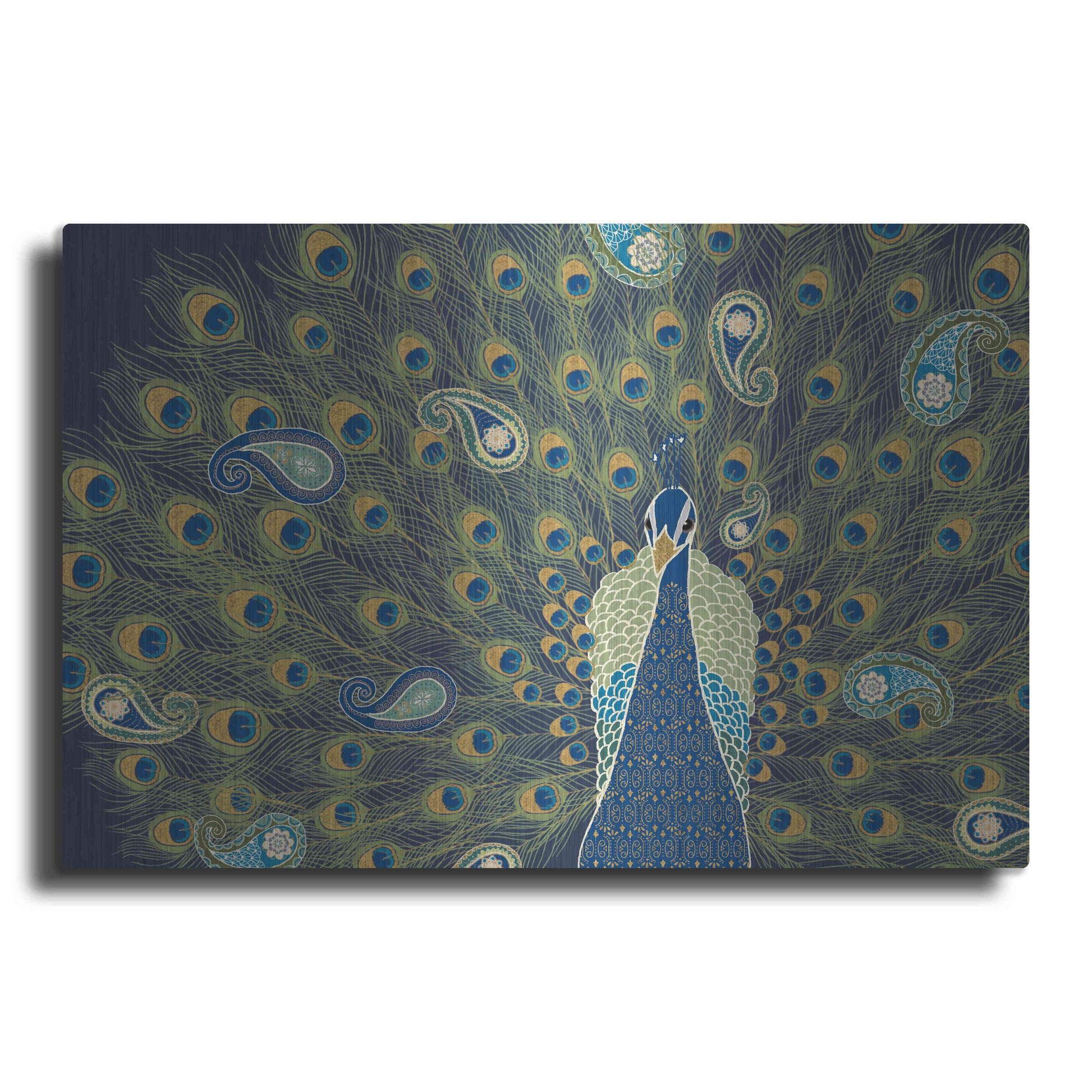 Luxe Metal Art 'Peacock Paradise VI' by Veronique Charron, Metal Wall Art