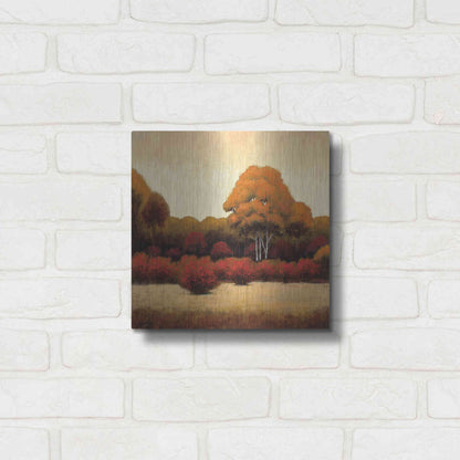 Luxe Metal Art 'Autumn Forest I' by James Wiens, Metal Wall Art,12x12