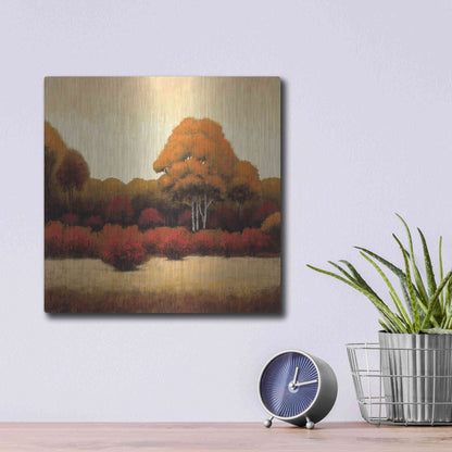 Luxe Metal Art 'Autumn Forest I' by James Wiens, Metal Wall Art,12x12