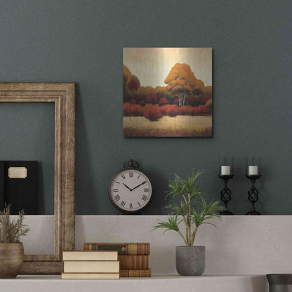Luxe Metal Art 'Autumn Forest I' by James Wiens, Metal Wall Art,12x12