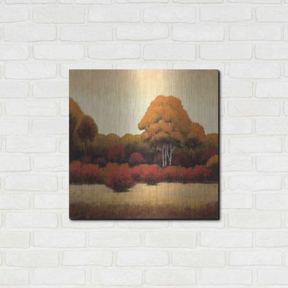 Luxe Metal Art 'Autumn Forest I' by James Wiens, Metal Wall Art,24x24