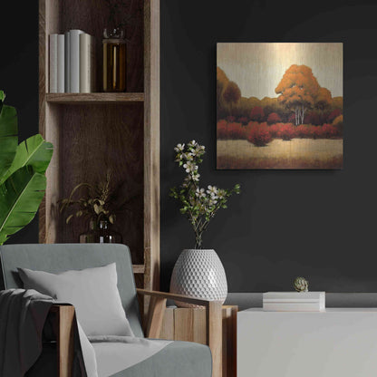 Luxe Metal Art 'Autumn Forest I' by James Wiens, Metal Wall Art,24x24