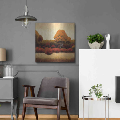 Luxe Metal Art 'Autumn Forest I' by James Wiens, Metal Wall Art,24x24