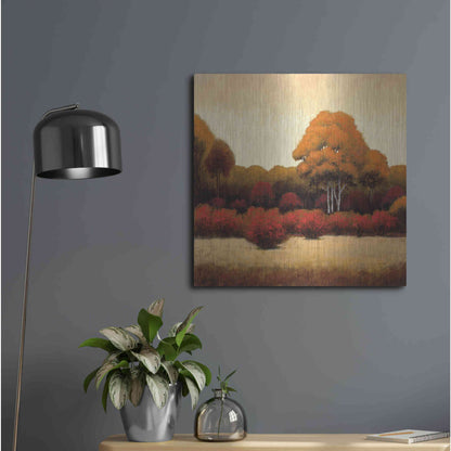 Luxe Metal Art 'Autumn Forest I' by James Wiens, Metal Wall Art,24x24
