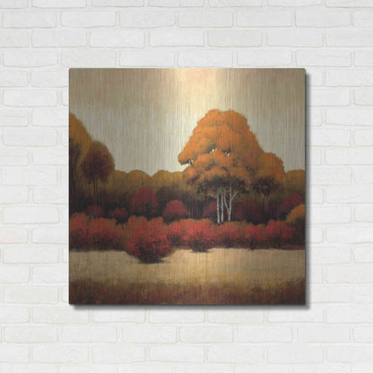 Luxe Metal Art 'Autumn Forest I' by James Wiens, Metal Wall Art,36x36