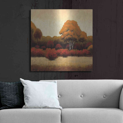 Luxe Metal Art 'Autumn Forest I' by James Wiens, Metal Wall Art,36x36