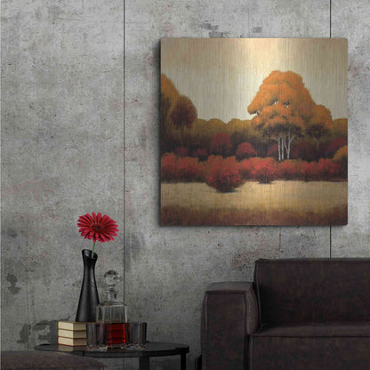 Luxe Metal Art 'Autumn Forest I' by James Wiens, Metal Wall Art,36x36
