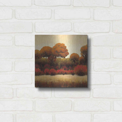 Luxe Metal Art 'Autumn Forest II' by James Wiens, Metal Wall Art,12x12