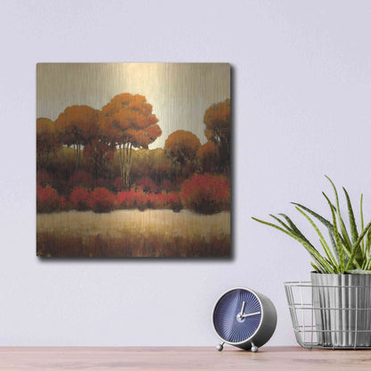 Luxe Metal Art 'Autumn Forest II' by James Wiens, Metal Wall Art,12x12