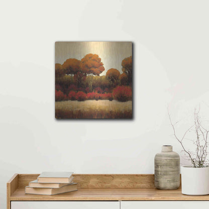 Luxe Metal Art 'Autumn Forest II' by James Wiens, Metal Wall Art,12x12