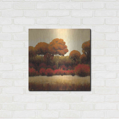 Luxe Metal Art 'Autumn Forest II' by James Wiens, Metal Wall Art,24x24