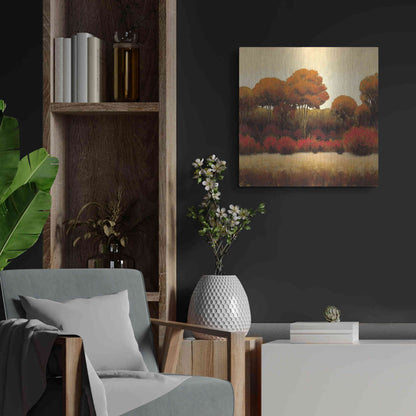 Luxe Metal Art 'Autumn Forest II' by James Wiens, Metal Wall Art,24x24