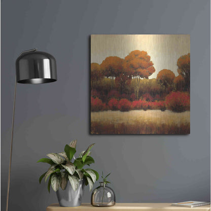 Luxe Metal Art 'Autumn Forest II' by James Wiens, Metal Wall Art,24x24