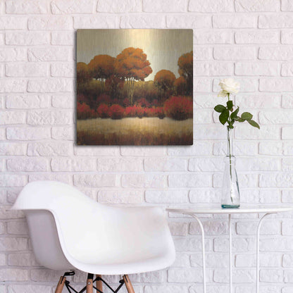 Luxe Metal Art 'Autumn Forest II' by James Wiens, Metal Wall Art,24x24