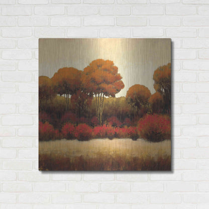 Luxe Metal Art 'Autumn Forest II' by James Wiens, Metal Wall Art,36x36