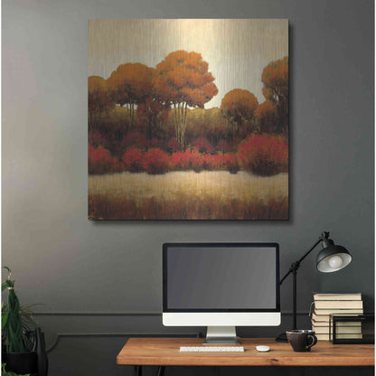 Luxe Metal Art 'Autumn Forest II' by James Wiens, Metal Wall Art,36x36