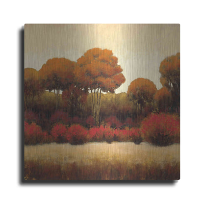 Luxe Metal Art 'Autumn Forest II' by James Wiens, Metal Wall Art