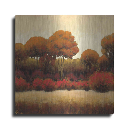 Luxe Metal Art 'Autumn Forest II' by James Wiens, Metal Wall Art