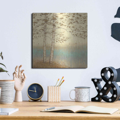 Luxe Metal Art 'Golden Birch I' by James Wiens, Metal Wall Art,12x12