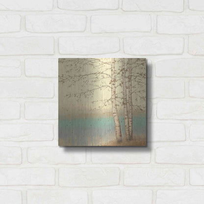 Luxe Metal Art 'Golden Birch II' by James Wiens, Metal Wall Art,12x12