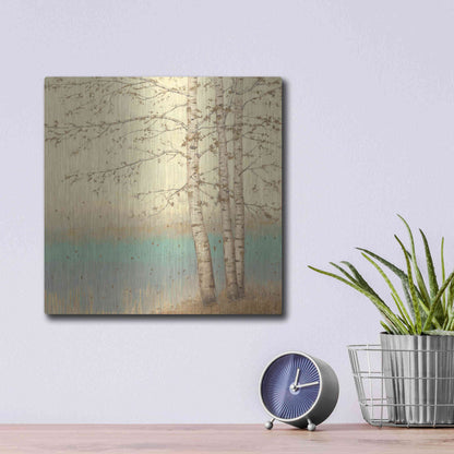 Luxe Metal Art 'Golden Birch II' by James Wiens, Metal Wall Art,12x12