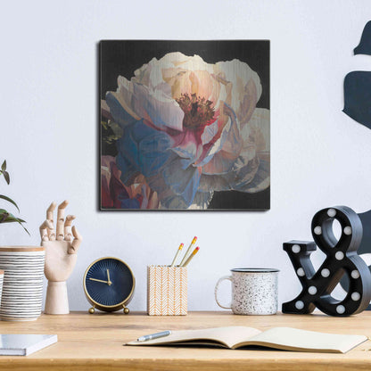 Luxe Metal Art 'Morning Glow I' by James Wiens, Metal Wall Art,12x12