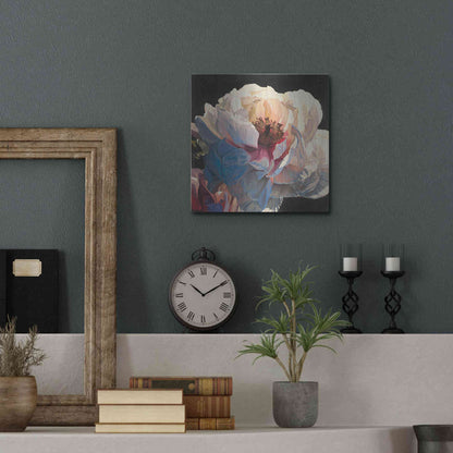 Luxe Metal Art 'Morning Glow I' by James Wiens, Metal Wall Art,12x12