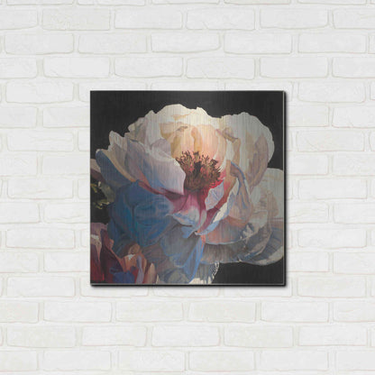 Luxe Metal Art 'Morning Glow I' by James Wiens, Metal Wall Art,24x24