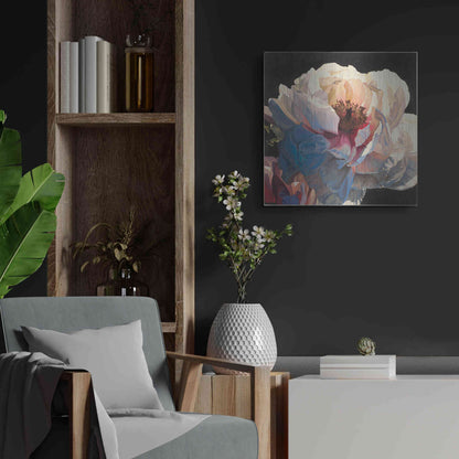 Luxe Metal Art 'Morning Glow I' by James Wiens, Metal Wall Art,24x24