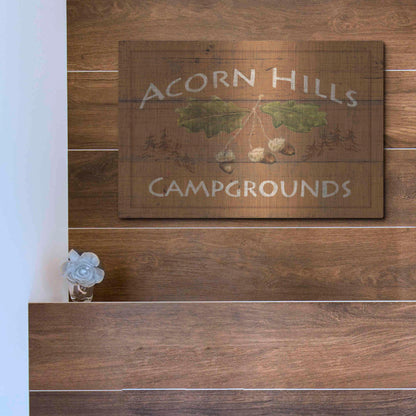 Luxe Metal Art 'Lodge Signs I' by James Wiens, Metal Wall Art,16x12