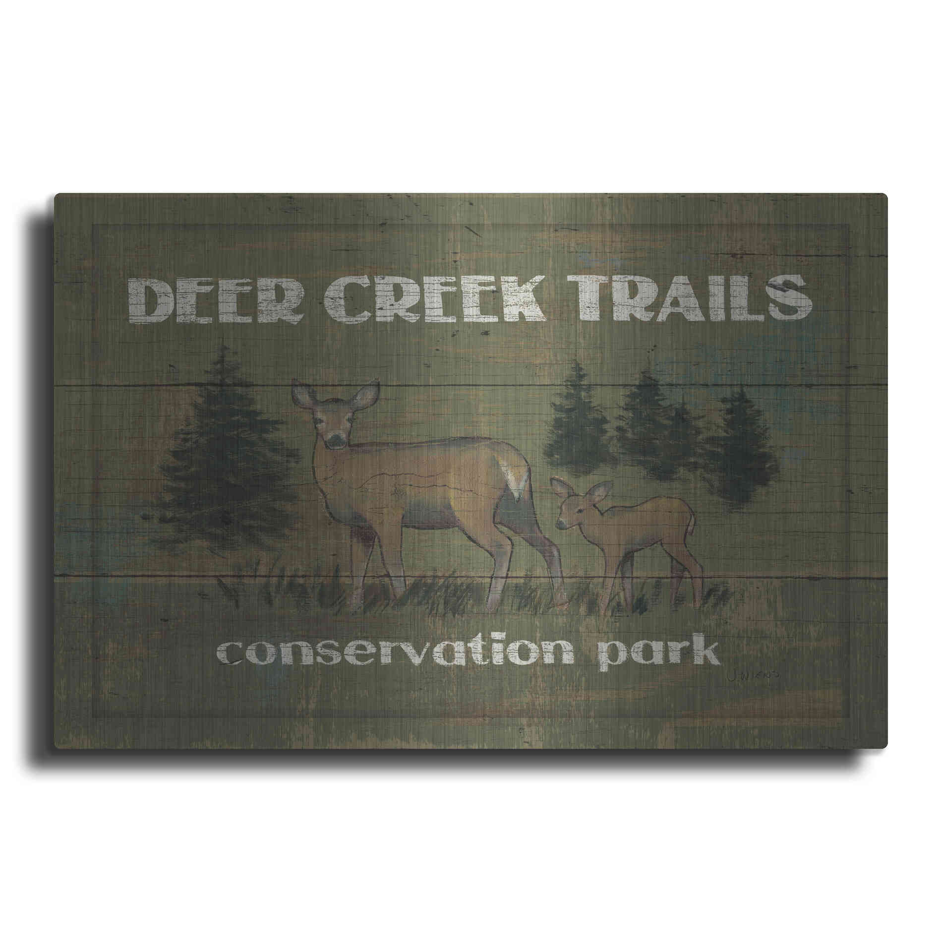 Luxe Metal Art 'Lodge Signs VIII' by James Wiens, Metal Wall Art