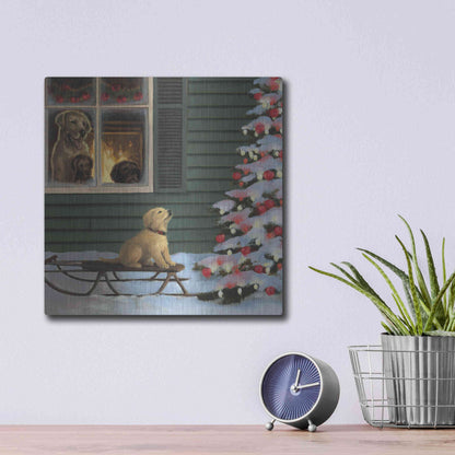 Luxe Metal Art 'Make a Wish' by James Wiens, Metal Wall Art,12x12