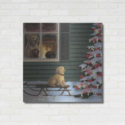 Luxe Metal Art 'Make a Wish' by James Wiens, Metal Wall Art,36x36