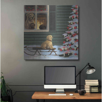 Luxe Metal Art 'Make a Wish' by James Wiens, Metal Wall Art,36x36