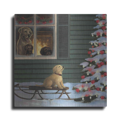 Luxe Metal Art 'Make a Wish' by James Wiens, Metal Wall Art