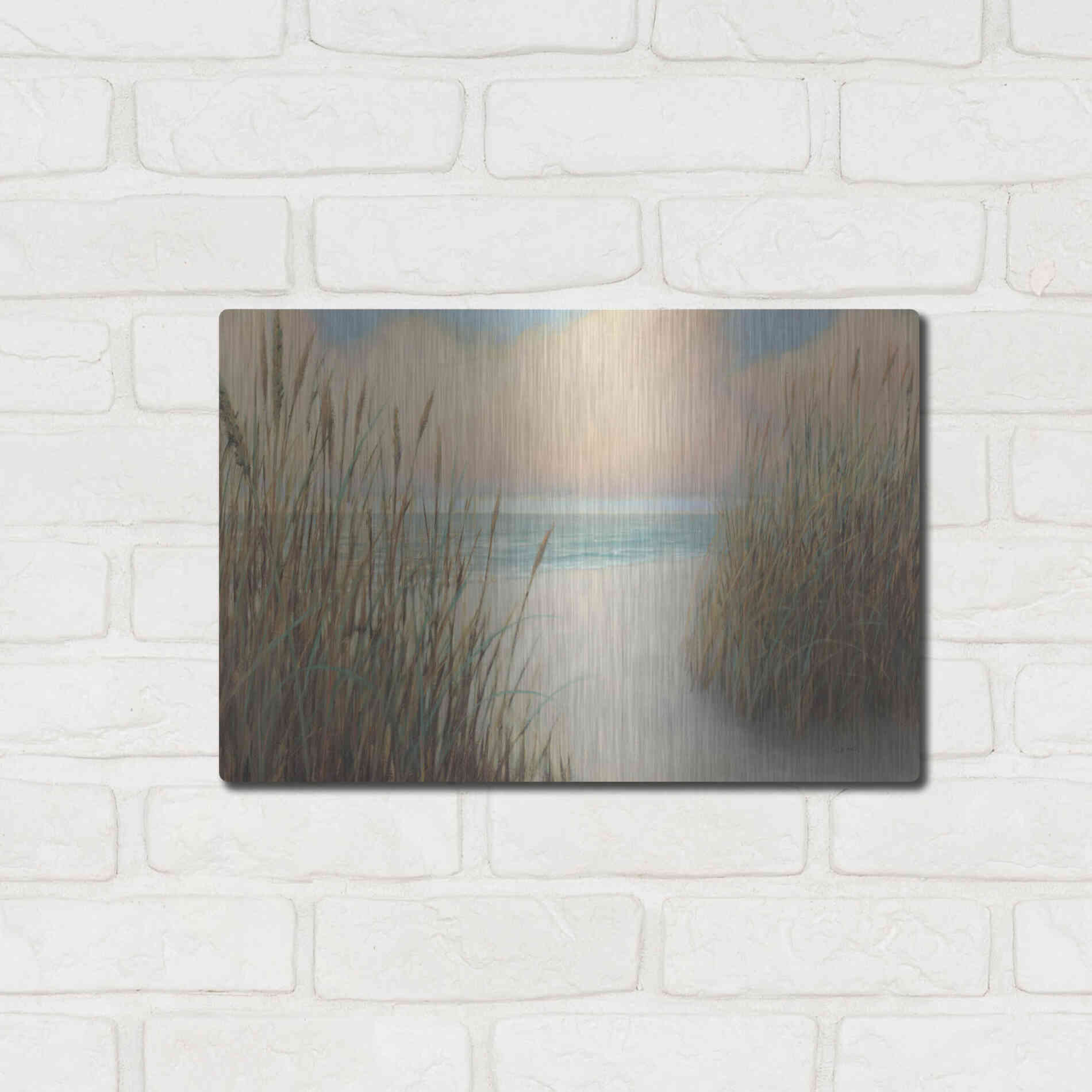 Luxe Metal Art 'Beach Trail I' by James Wiens, Metal Wall Art,16x12