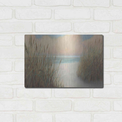 Luxe Metal Art 'Beach Trail I' by James Wiens, Metal Wall Art,16x12