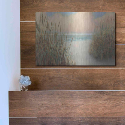 Luxe Metal Art 'Beach Trail I' by James Wiens, Metal Wall Art,16x12